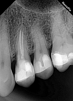 photo-6.jpg